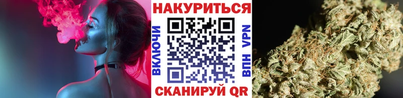 Конопля сатива  Апшеронск 